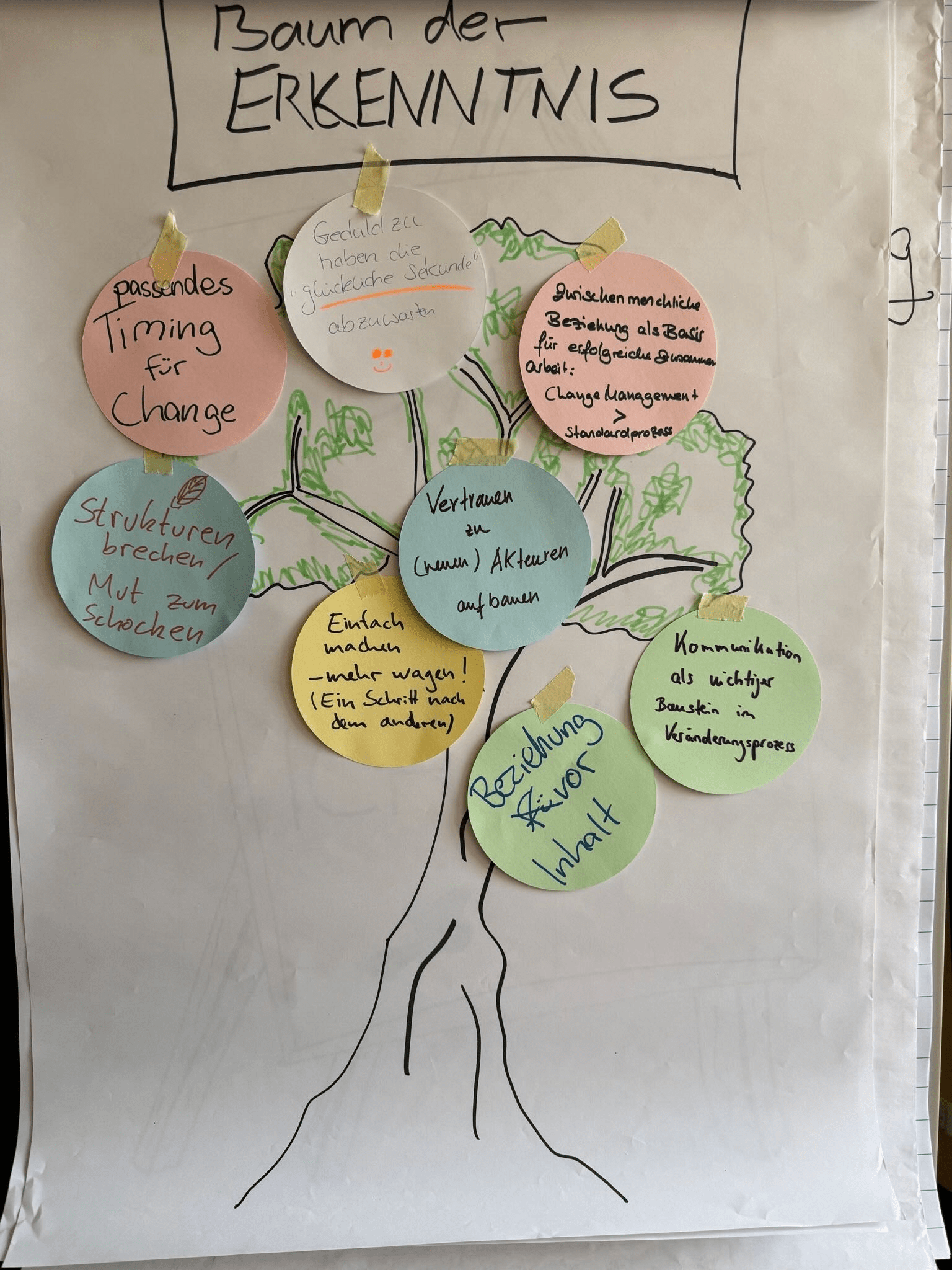 Baum der Erkenntnis zu einem Vortrag über Changemanagement und Kommunikation Flipchart mit einer gezeichneten Baumgrafik unter der Überschrift „Erkenntnis“. Auf farbigen Haftnotizen stehen zentrale Erkenntnisse zu Change-Management, darunter passendes Timing, Vertrauen, Kommunikation, Beziehungsarbeit und das Aufbrechen von Strukturen.